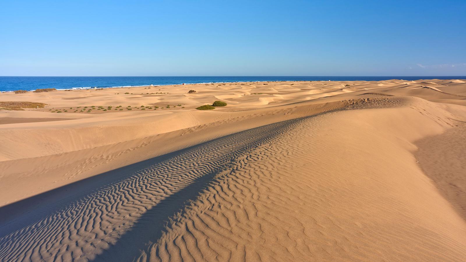 Gran Canaria Hallo Canarische Eilanden 2585