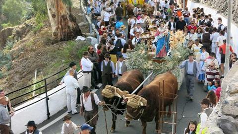 Romeria de Los Labradores sta lucia de tirajana